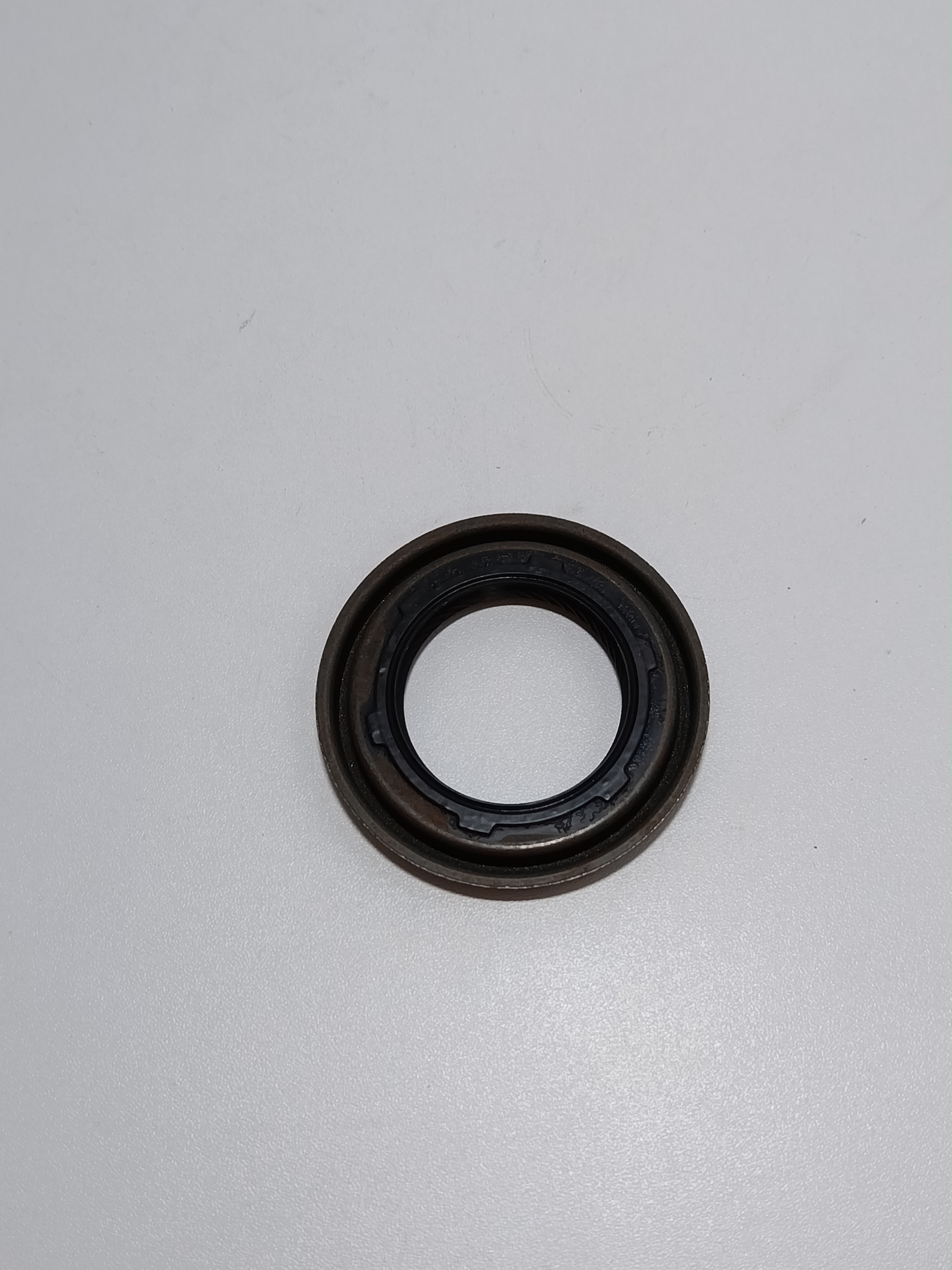 Salnik (bublk) Lacetti