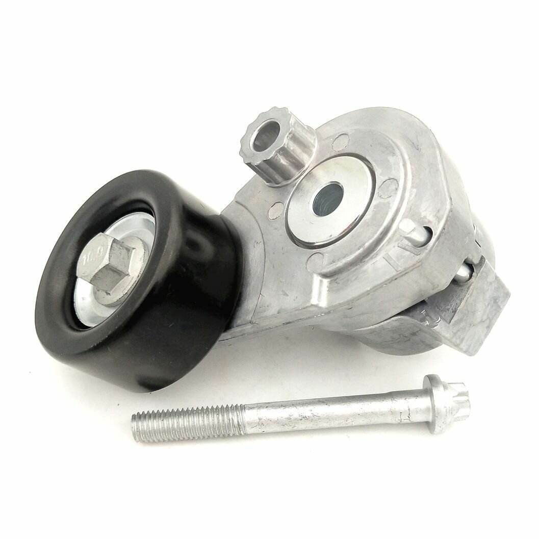 Natyajitel zubchatka remen Orlando